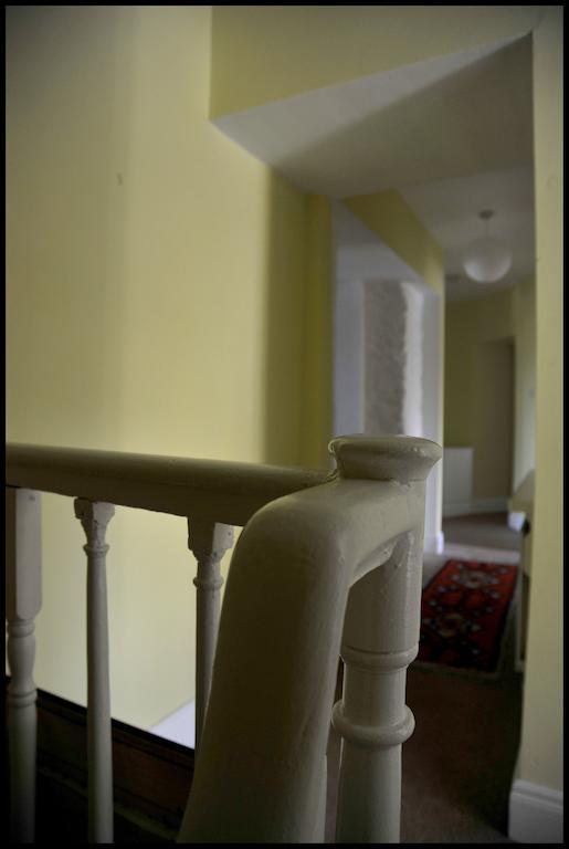 Wisteria House B&B Cloyne Zewnętrze zdjęcie
